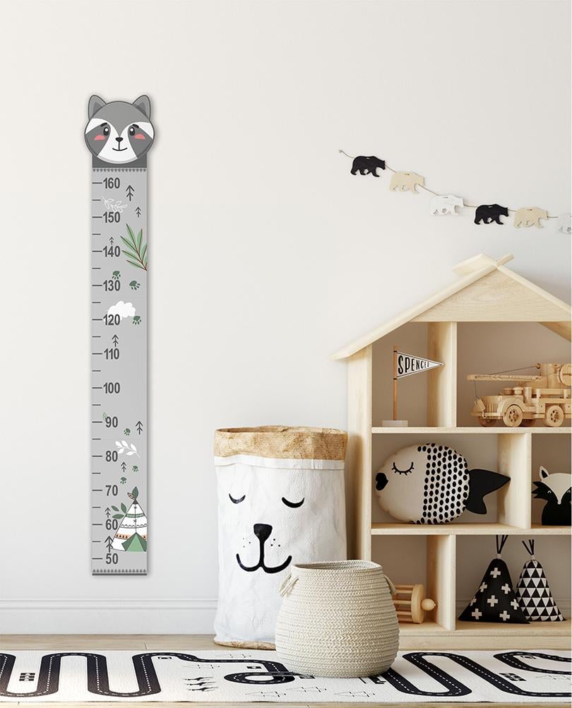 Ростомір єнотик (7098-3)