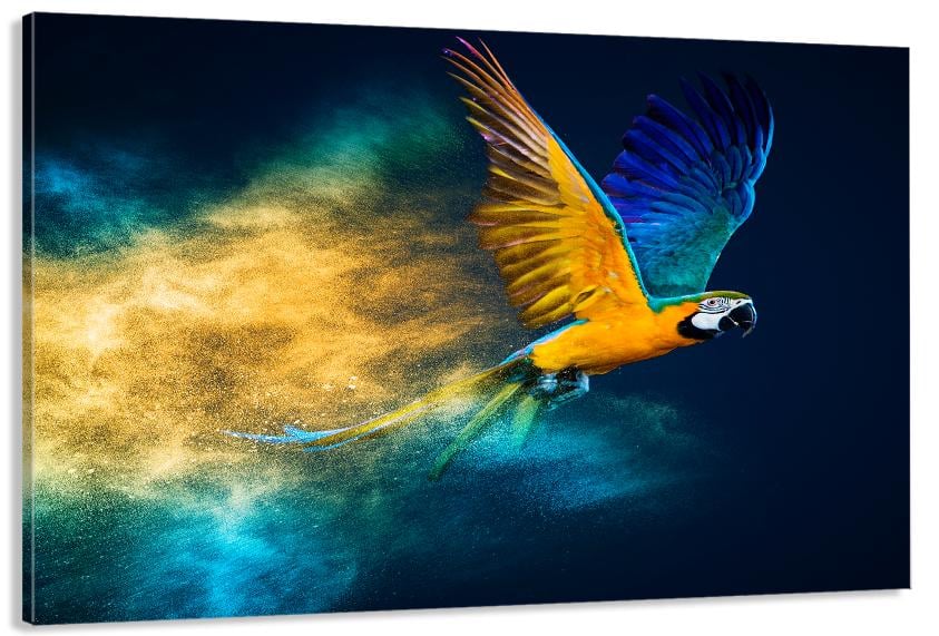 Картина на холсте в гостиную/спальню Птичка Попугай 30х60 см (MLP_385)