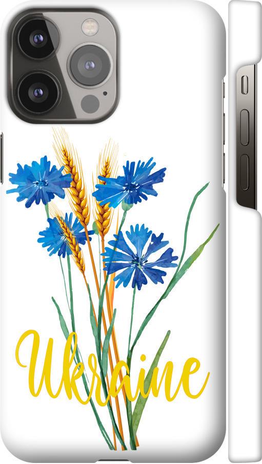 Чехол на iPhone 13 Pro Max Ukraine v2 (5445m-2371-42517)