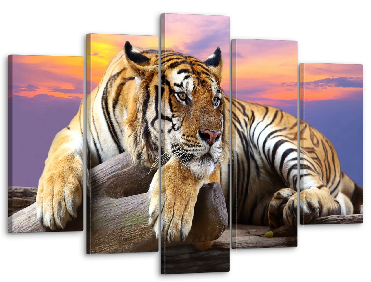 Картина модульная на холсте DK Тигр 80x125 см (MK50305)