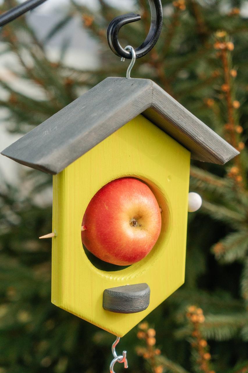 Кормушка для птиц Экзотик Лайм из дерева 250х160х70 мм 90 мм - фото 5 Кормушка для птиц Экзотик Лайм из дерева 250х160х70 мм 90 мм - фото 5