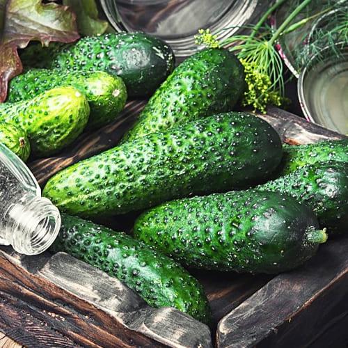 Семена Огірок Florium Лютояр F1 (7192) Семена Огірок Florium Лютояр F1 (7192)