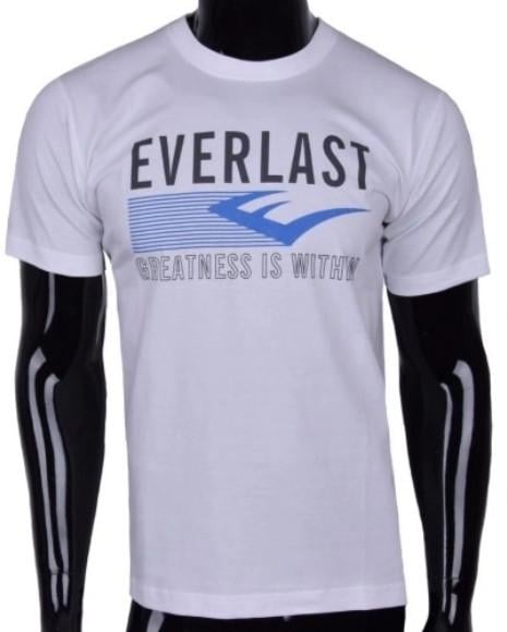 Футболка мужская Everlast S (1814456108)