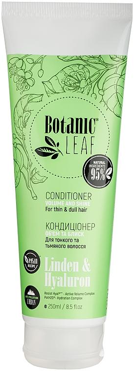 Кондиціонер для тонкого та тьмяного волосся Botanic Leaf об'єм та блиск 250 мл (14337)