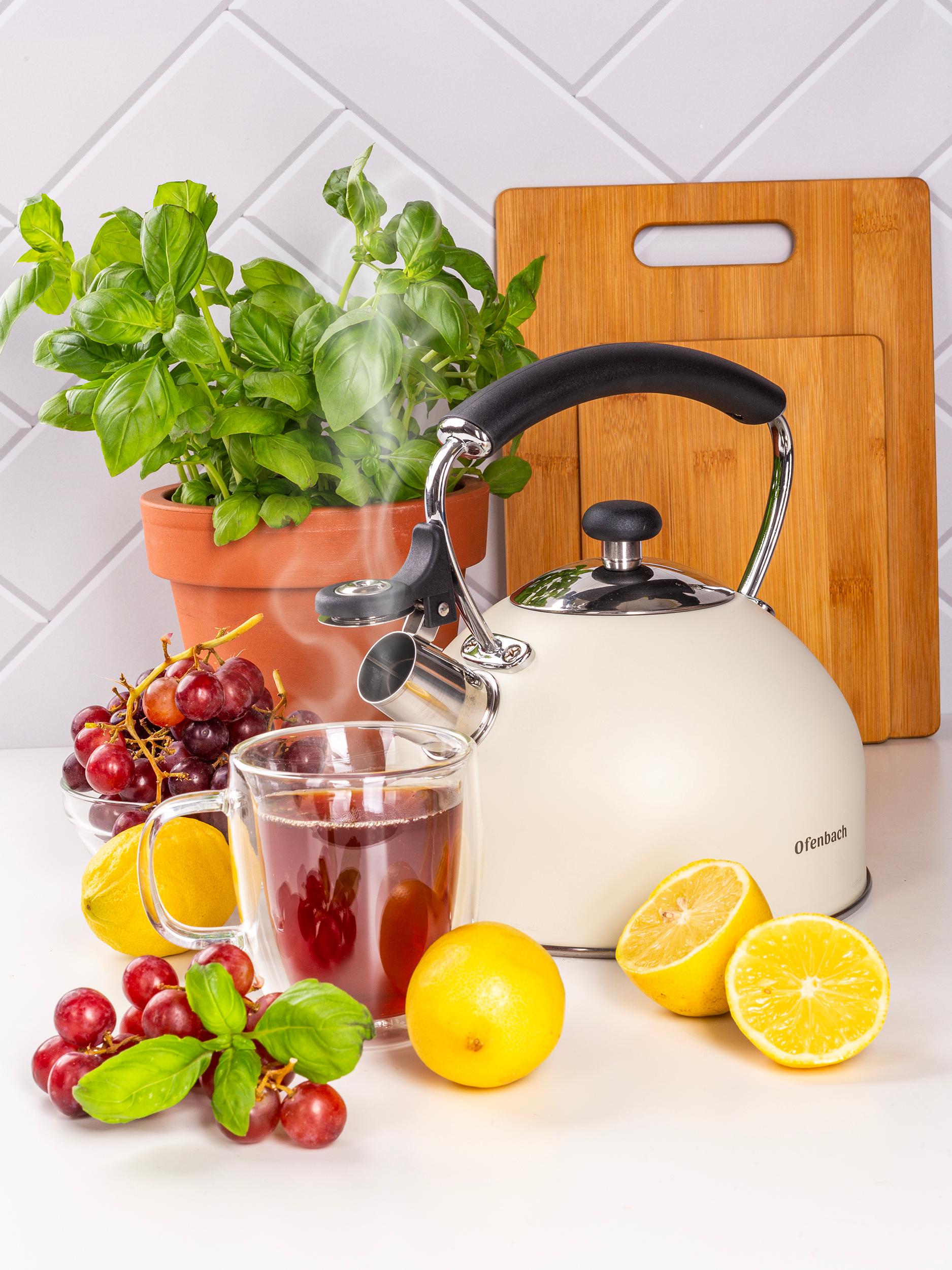 Чайник зі свистком та нейлоновою ручкою Ofenbach KM-100325 з нержавіючої сталі 2,2 л Білий (150-84-100325) - фото 7 Чайник зі свистком та нейлоновою ручкою Ofenbach KM-100325 з нержавіючої сталі 2,2 л Білий (150-84-100325) - фото 7