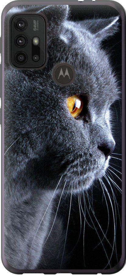 Чехол на Motorola Moto G10 Красивый кот (3038t-2319-42517)