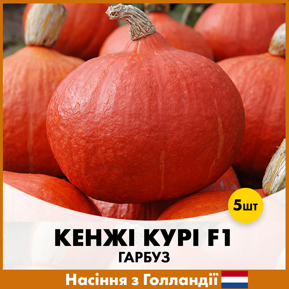 Семена тыквы Enza Zaden Кенжи Кури F1 5 шт. (R30331)