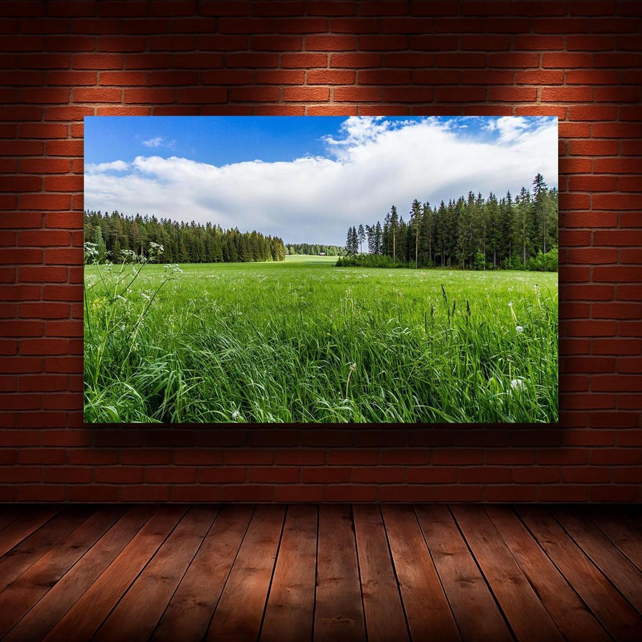 Картина на холсте Природа 50х70 см (N953)
