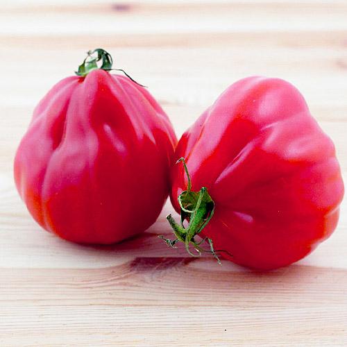 Семена Томат Florium Шарпей TM Gl Seeds Рожевий (17317)