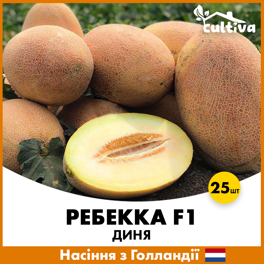 Семена дыни Hazera Ребекка F1 25 шт. (R50227)