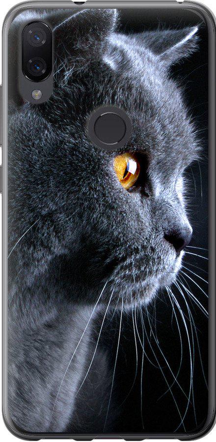 Чохол на Xiaomi Mi Play Гарний кіт (3038t-1644-42517)