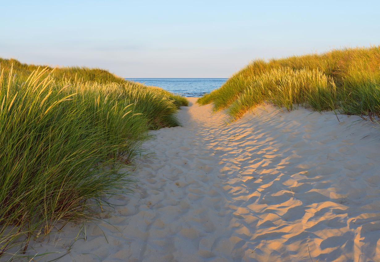 Обои Панно Komar Sandy Path бумажные моющие 368х254 см (8-995)