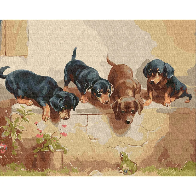 Картина по номерам Идейка Неожиданная встреча 40x50 см (KHO4348)