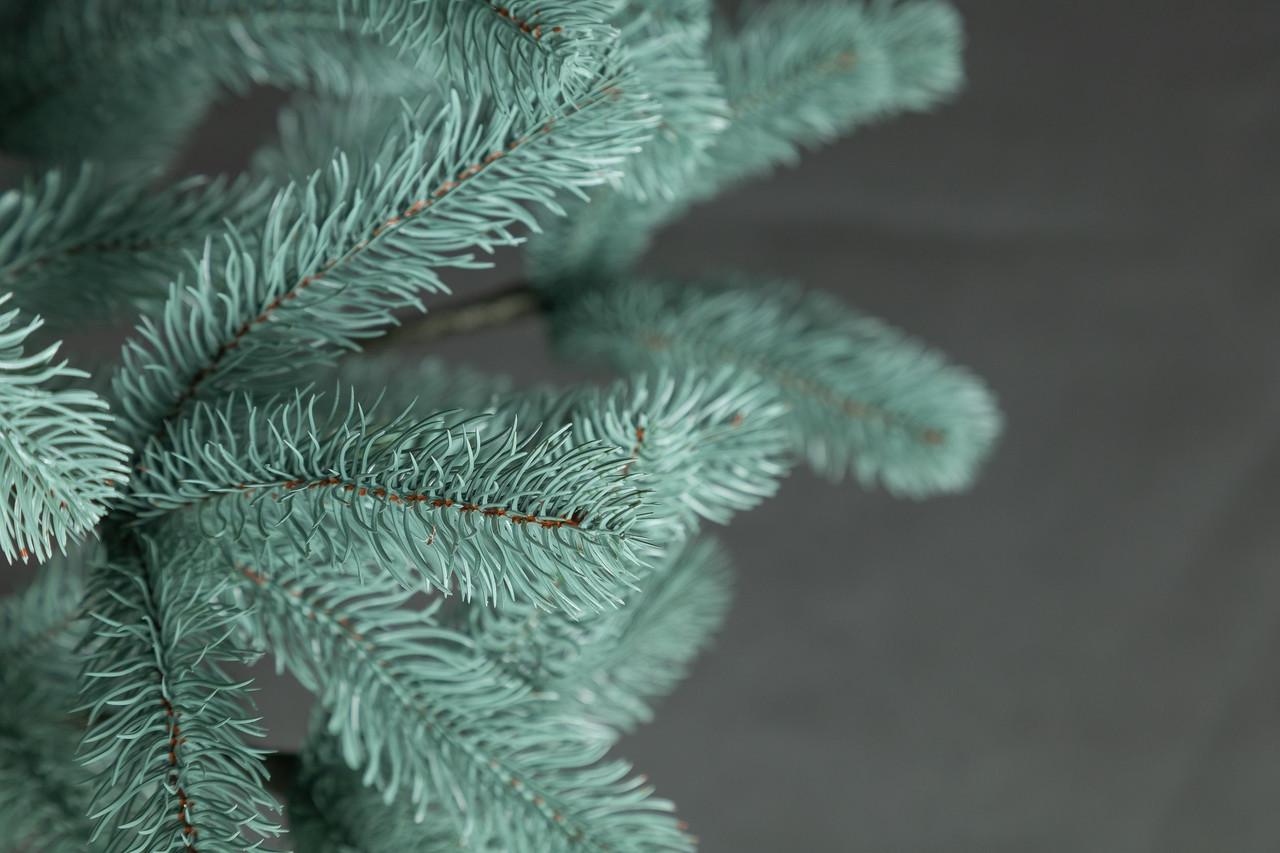 Ялинка лита Siga Group Президентська 1,8 м Блакитний (1497403053) - фото 8