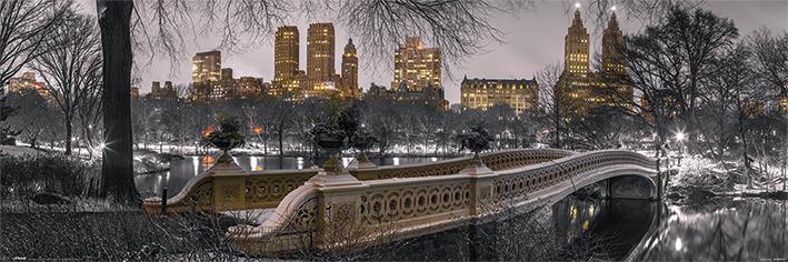 Постер плакат Нью-Йорк Центральный Парк Боу Бридж/York Bow Bridge Central Park 30x91,5 см