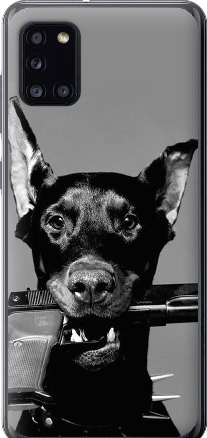 Чехол на Samsung Galaxy A31 A315F Доберман (2745t-1908-42517) Чехол на Samsung Galaxy A31 A315F Доберман (2745t-1908-42517)