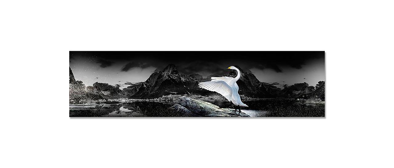 Наліпка вінілова 3D Zatarga Лебеді і Гори 650х2500 мм (1274514183) Наліпка вінілова 3D Zatarga Лебеді і Гори 650х2500 мм (1274514183)