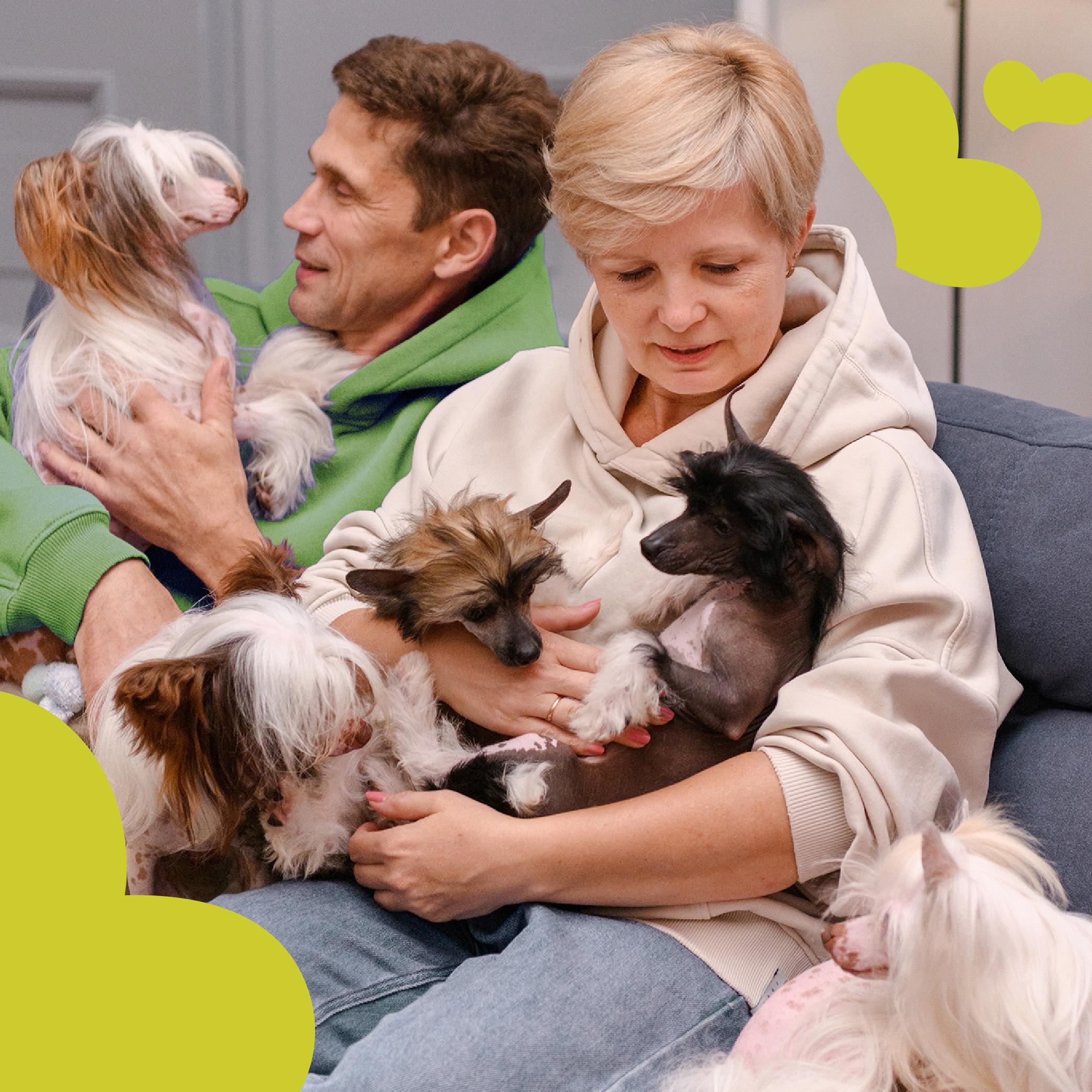 Лакомства для собак Mavsy Refined jerky TURKEY AND DUCK STEAK WITH KIWI SAUCE от 3-х месяцев 100 г (24628261) - фото 6 Лакомства для собак Mavsy Refined jerky TURKEY AND DUCK STEAK WITH KIWI SAUCE от 3-х месяцев 100 г (24628261) - фото 6