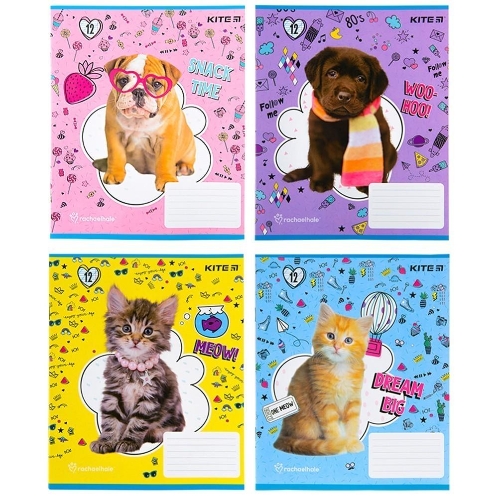 Комплект школьных тетрадей KITE Rachael Hale 12 листов 25 шт. (R22-235_25pcs)