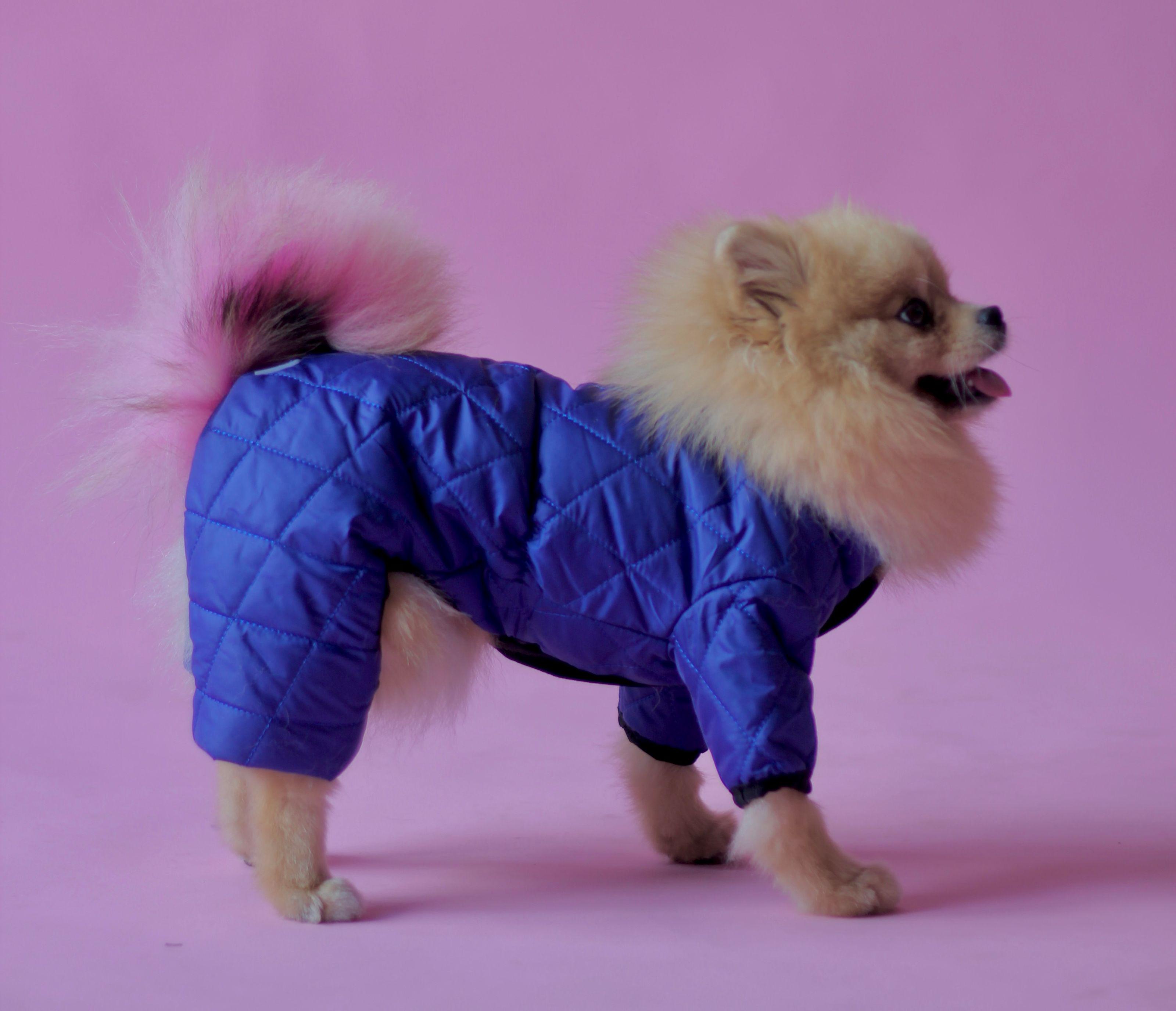 Комбінезон для собак двосторонній AS-5 стьобаний р. 4 Синій (70579689)