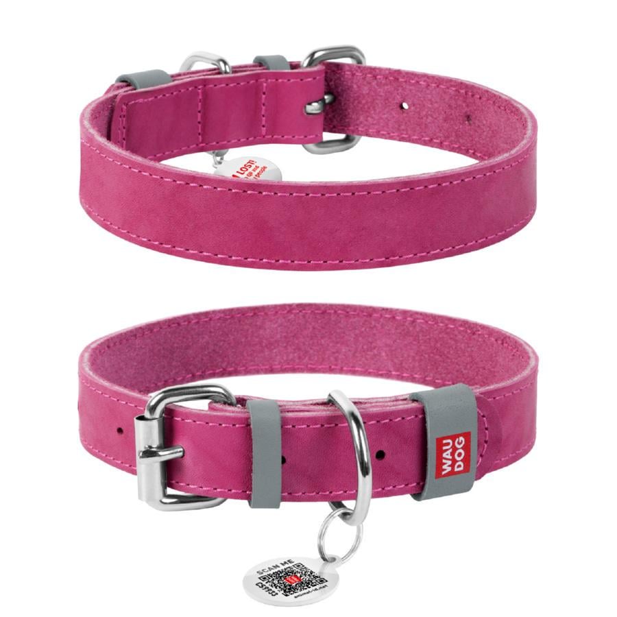 Ошейник для собак кожаный Waudog Classic XS 12 мм 19-25 см