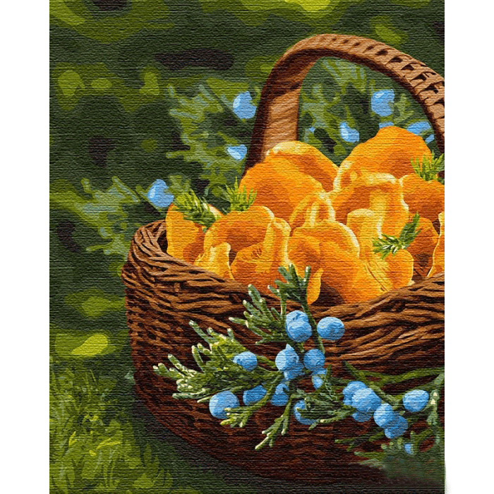 Картина по номерам Идейка "Солнце в корзине" 40х50 см (Az-268664)