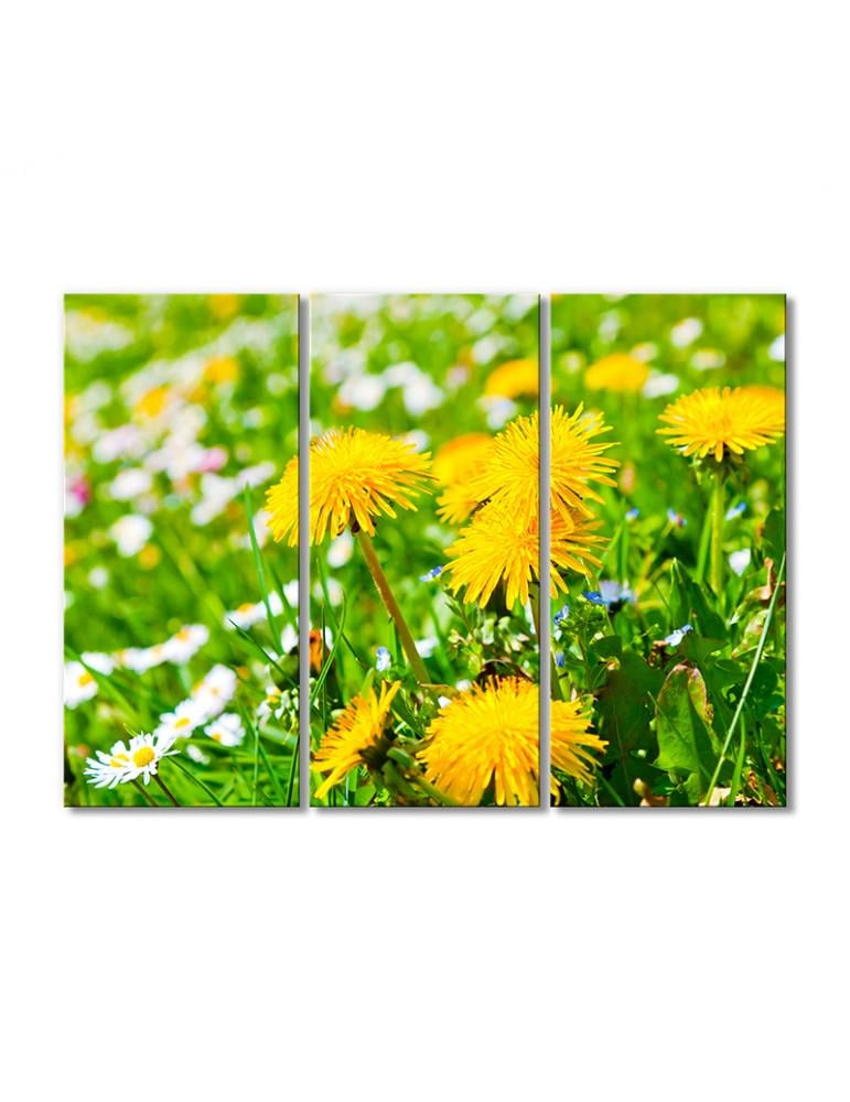 Картина модульная Ромашки и желтые одуванчики 3 модуля 50x75 см