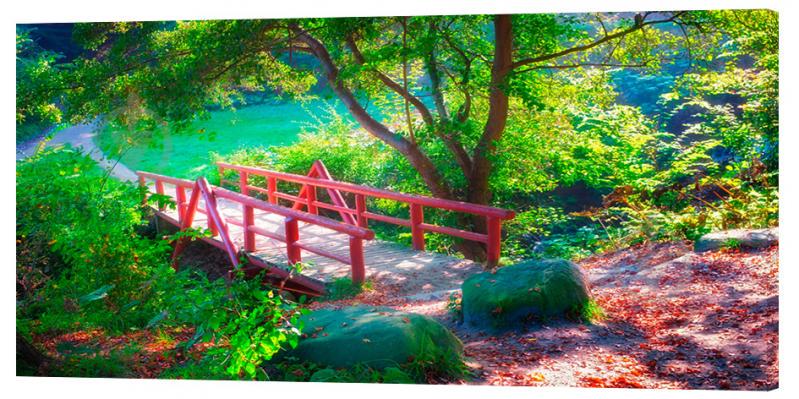 Картина на холсте Декор Карпаты Загадочный мост 50х100 см (p997)