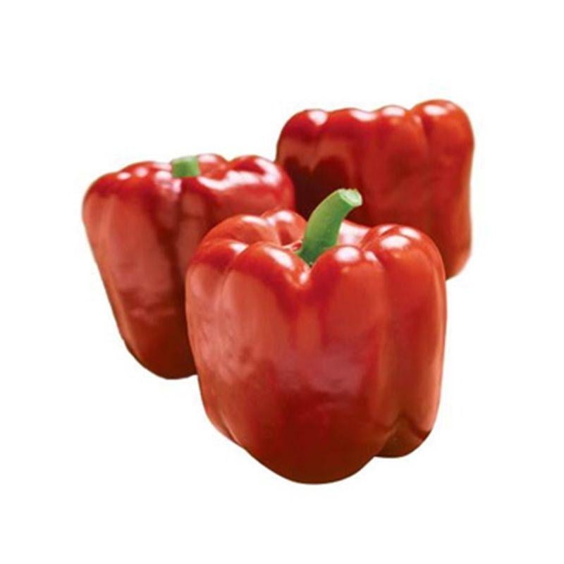 Насіння Перець Rijk Zwaan SONDELA F1 100 шт. (2289897319.5)