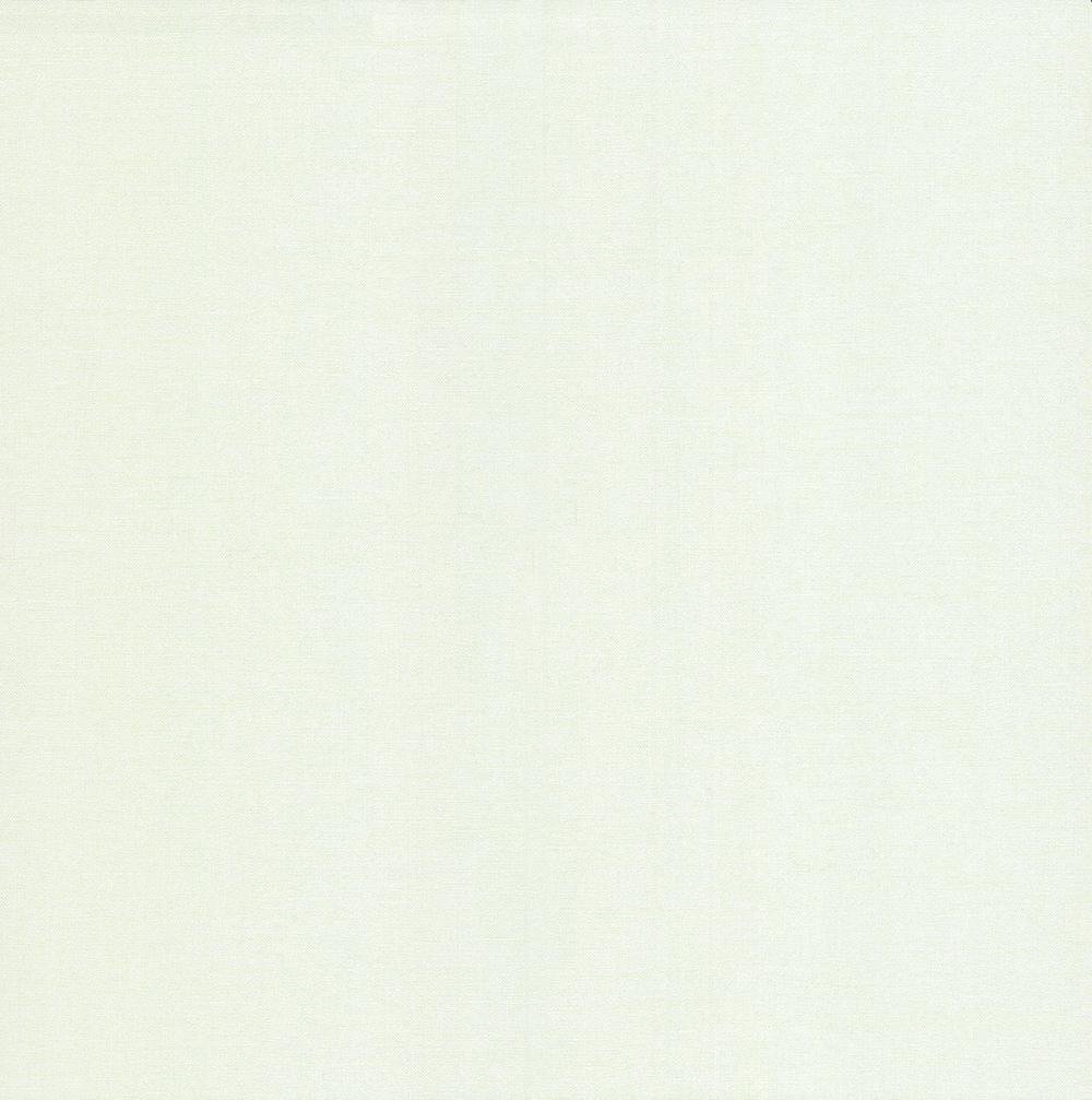 Обои виниловые на флизелиновой основе 1.06х10.05 P+S international Colibri (02554-62)