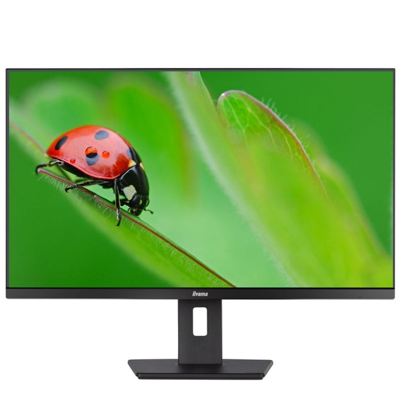 Монитор Iiyama XUB3293UHSN-B5 безрамочный IPS 3840х2160 4K Ultra HD 32" (tf6885)