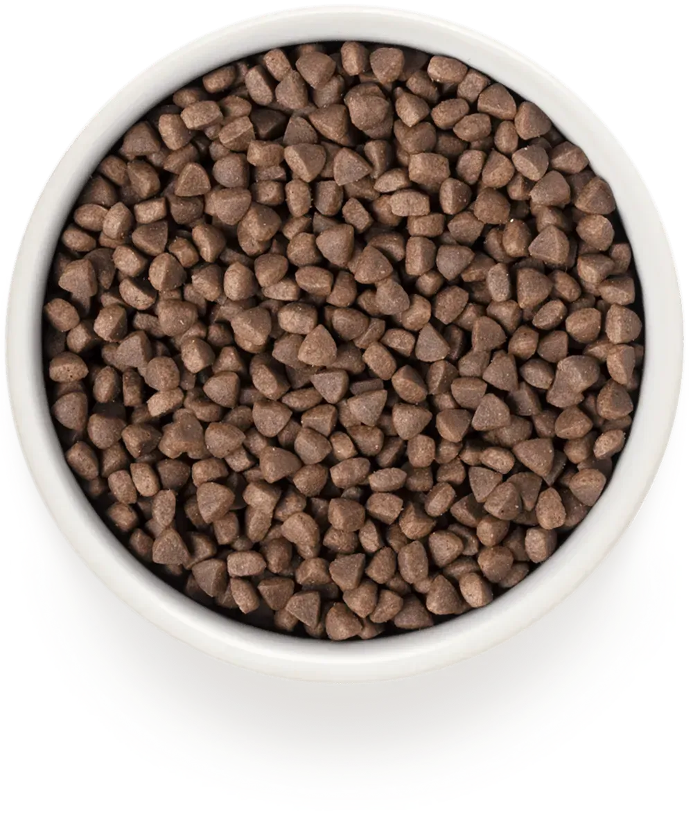 Корм для кошек сухой Grandorf Turkey Sterilized с индейкой 0,4 кг