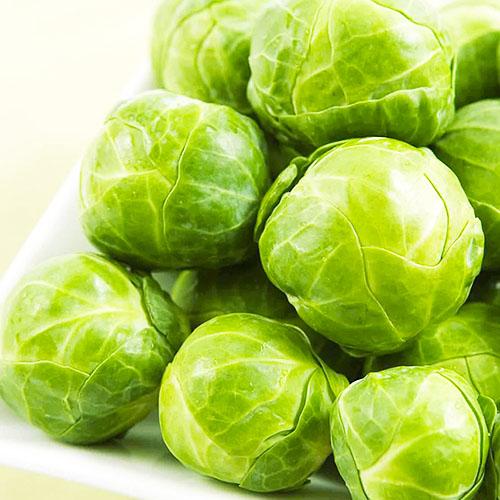 Насіння Капуста Florium Брюссельська Франклін F1 (4187) - фото 2