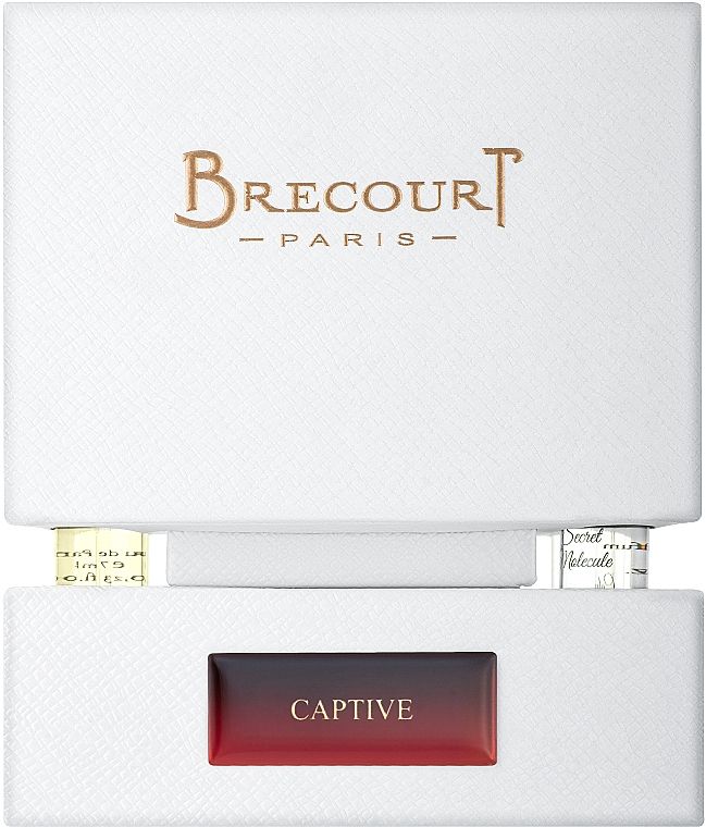 Парфюмированная вода Brecourt Captive 124 мл (2419_4143)