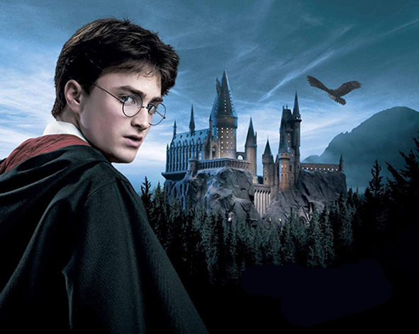 Картина по номерам Гарри Поттер Хогвардс 40х50 (GX42831)