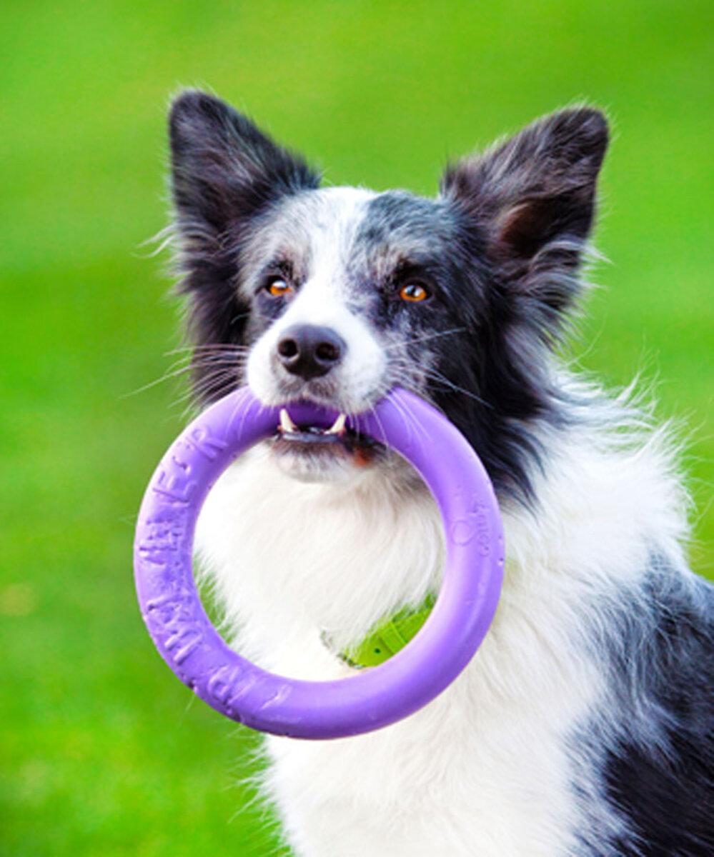 Тренувальний снаряд для собак PULLER Midi D 19,5 см (25881225) - фото 7 Тренувальний снаряд для собак PULLER Midi D 19,5 см (25881225) - фото 7