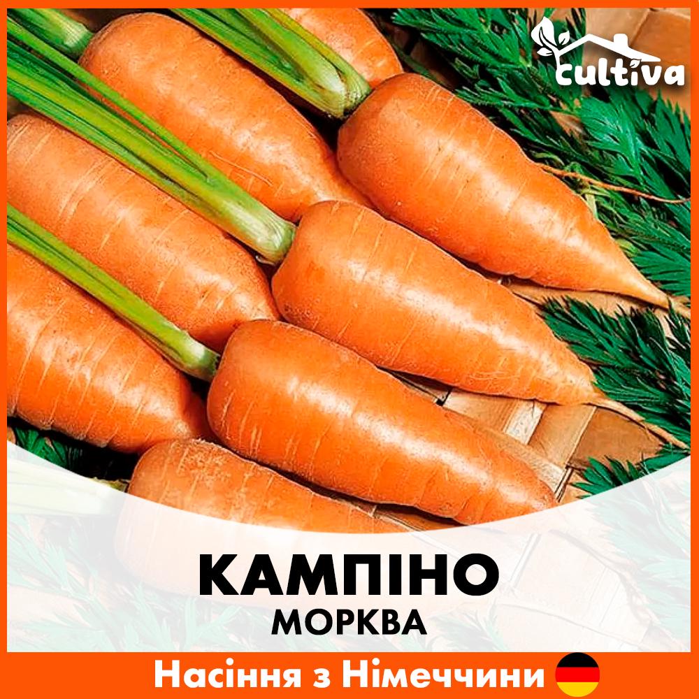 Семена моркови Satimex Кампино 10 г (R50218)