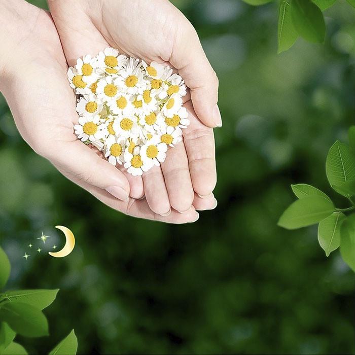 Прокладки женские Naturella Ultra Ромашка ночные р. 4 7 капель 14 шт. (1962124068) - фото 4 Прокладки женские Naturella Ultra Ромашка ночные р. 4 7 капель 14 шт. (1962124068) - фото 4