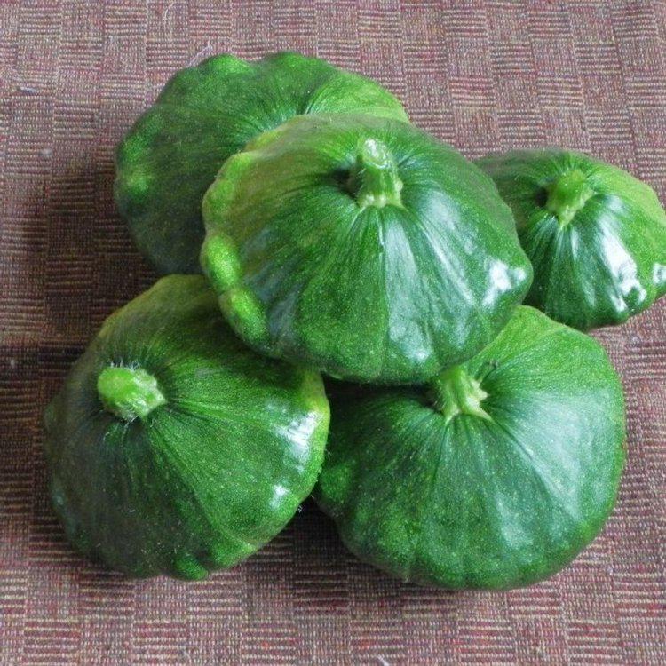 Семена Семена Патіссон Старшип 500 шт. ТД Гекса-Україна 01-05-082 (IR01217)