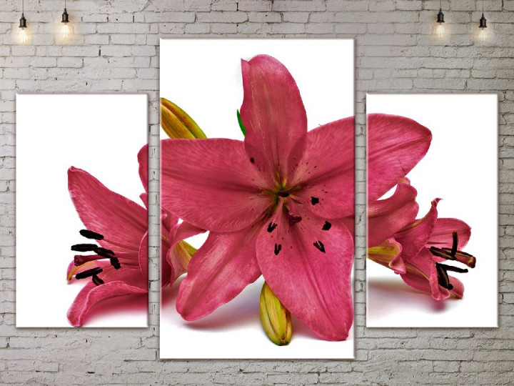 Картина модульная ArtStar ADFL0061 120х180 см 3 части