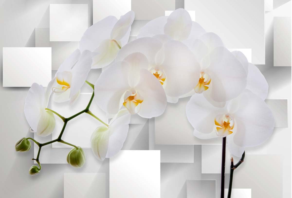 Фотообои WS Wallpaper 3D орхидеи 392x270 см (31164)