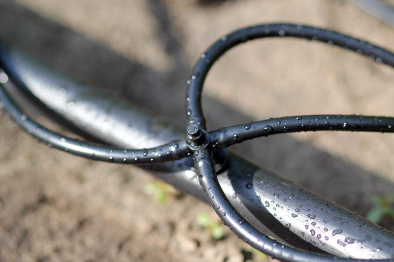 Адаптер для капельниц Presto-PS на 4 выхода для капельной трубки 3,5 мм (5135) - фото 2 Адаптер для капельниц Presto-PS на 4 выхода для капельной трубки 3,5 мм (5135) - фото 2