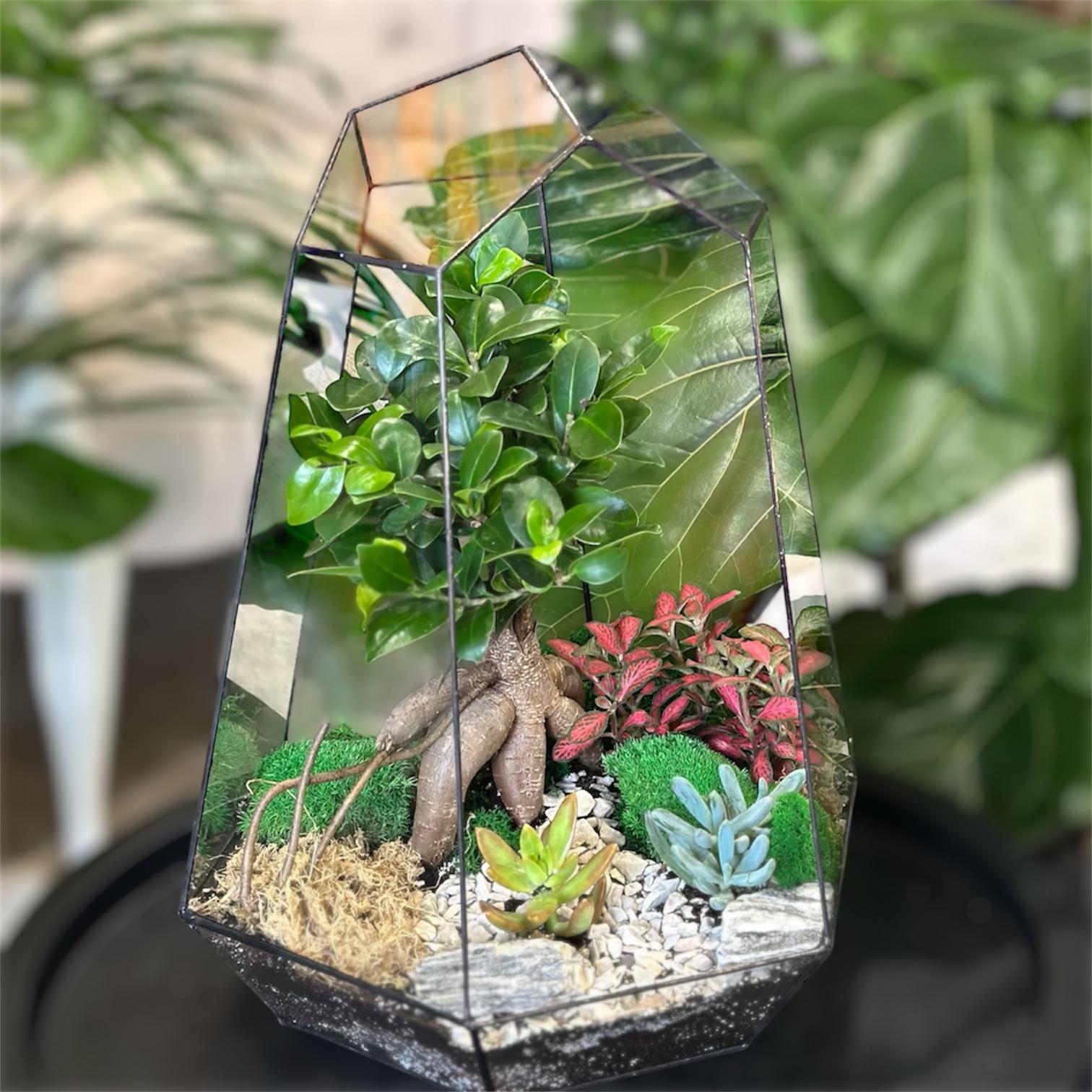 Флораріум з деревом бонсай Гармонія 40 см (31793728)