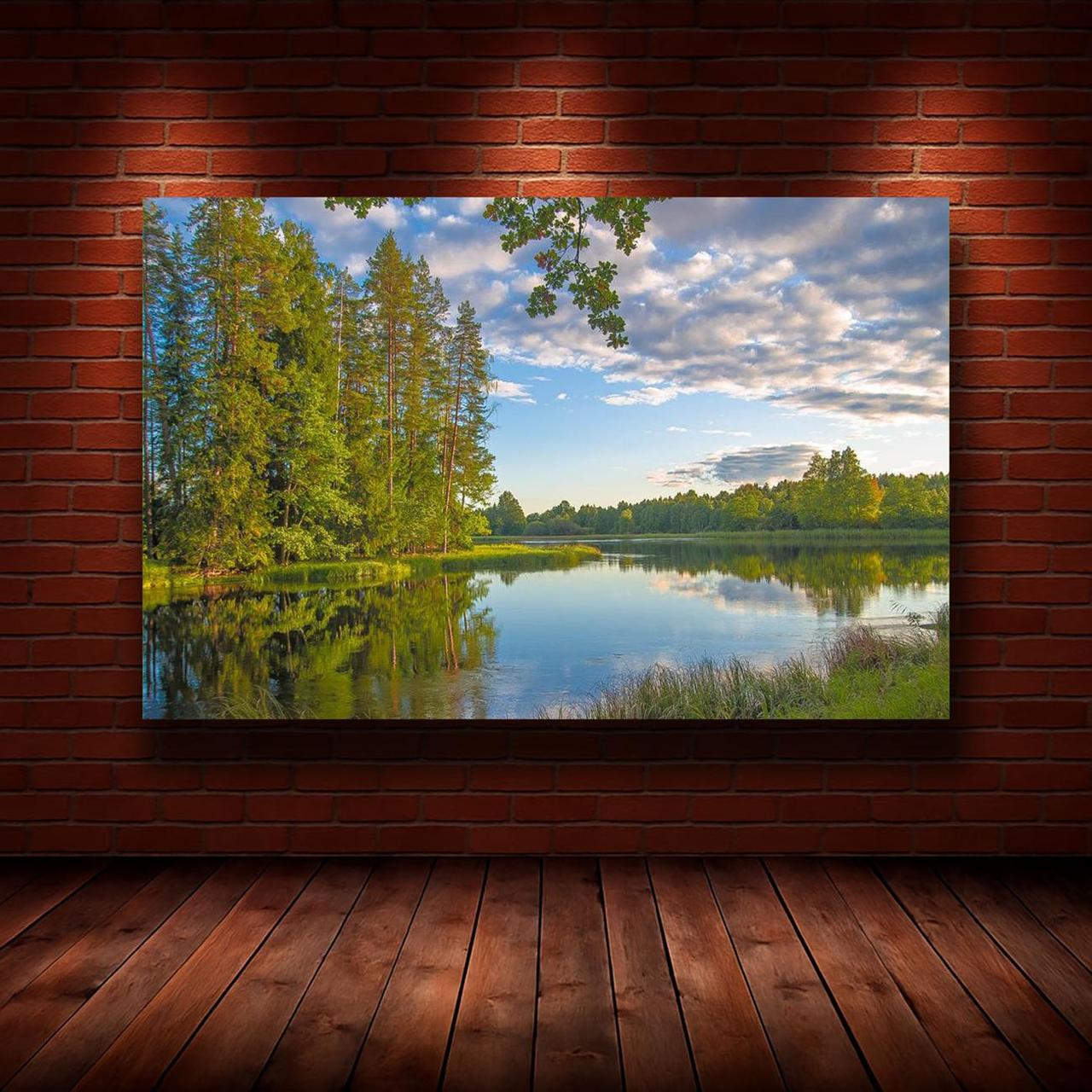 Картина на холсте Природа 30х40 см (N656)