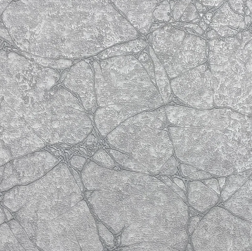 Обои Emiliana Parati Materica виниловые на флизелиновой основе (33493932)