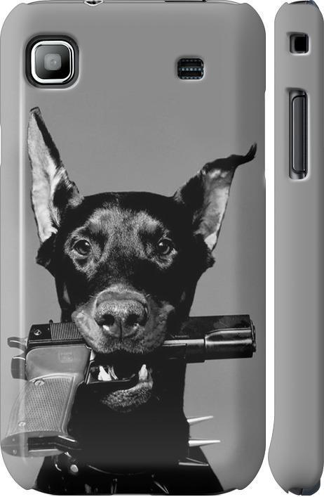 Чехол на Samsung Galaxy S i9000 Доберман (2745c-77-42517)