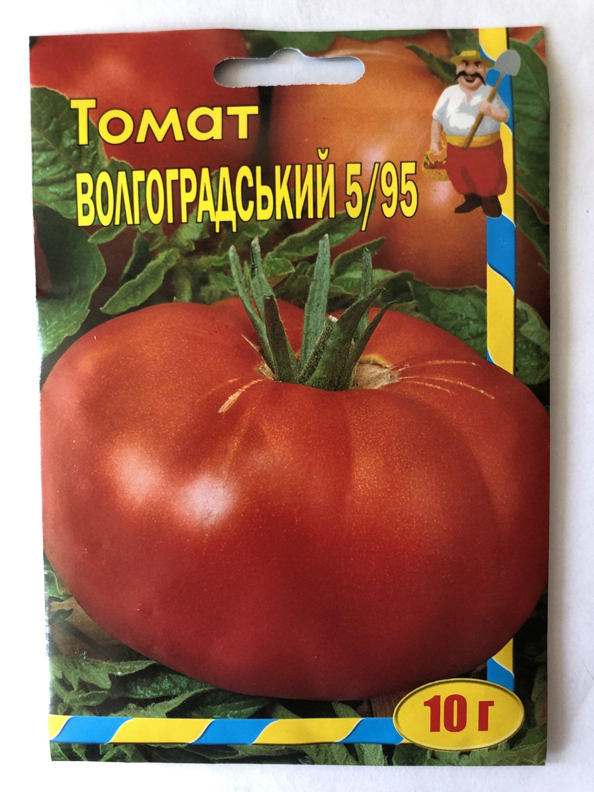 Семена томата Кум "Волгоградський 5/95" 10 г урожайный штамбовый томат для открытого грунта