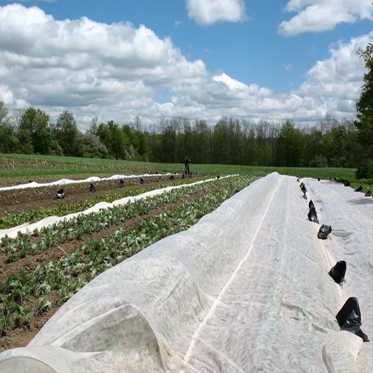 Агроволокно Agreen 19 г/м² 3,2х50 м Белый (48232) - фото 5