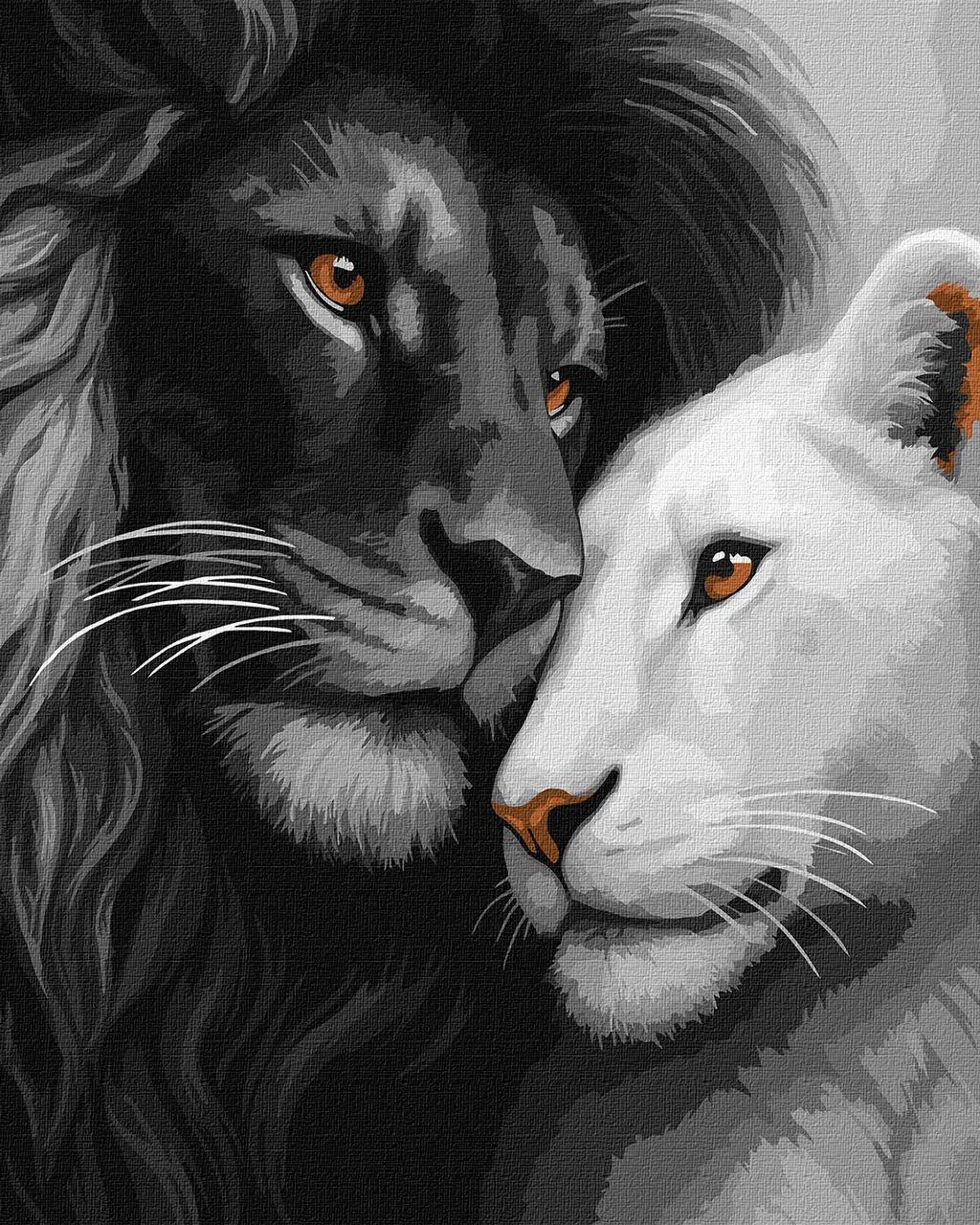 Картина по номерам Ideyka Влюбленные львы 40х50 см (2867221953)