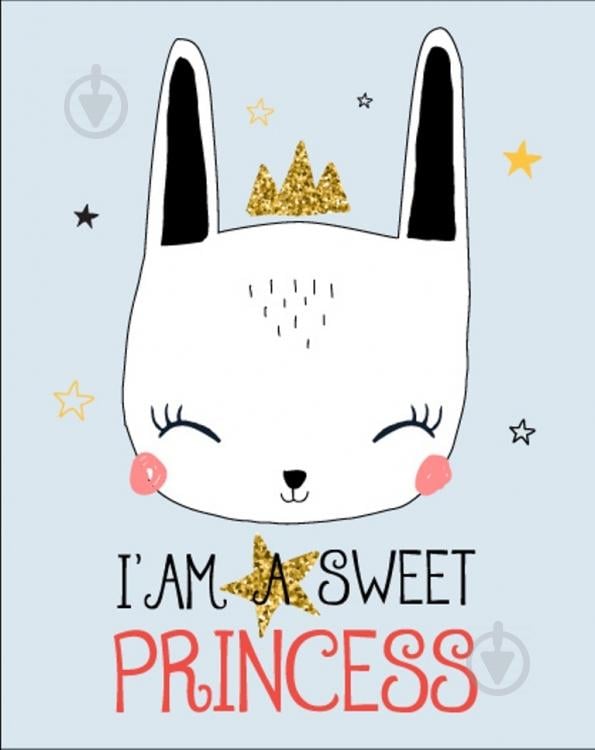Постер в рамке Princess 30 х 40 см (sd124126) Постер в рамке Princess 30 х 40 см (sd124126)